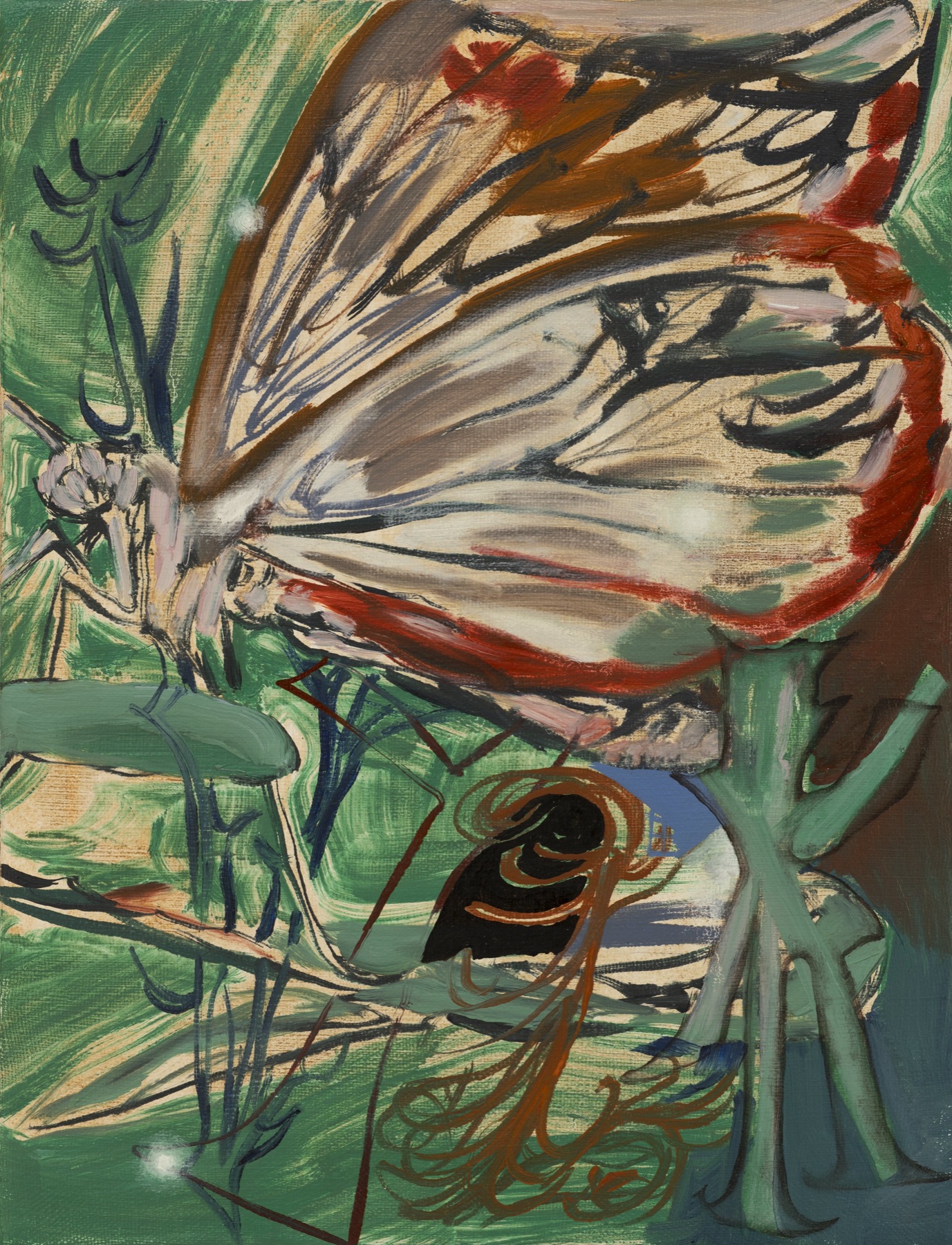 Butterfly